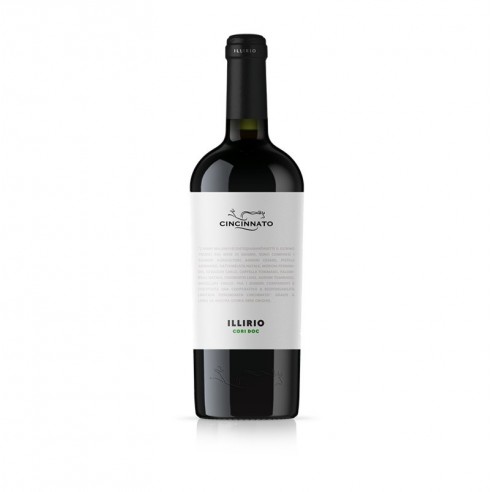 ILLIRIO CORI BIANCO 75cl 2025 - CANTINA CINCINNATO