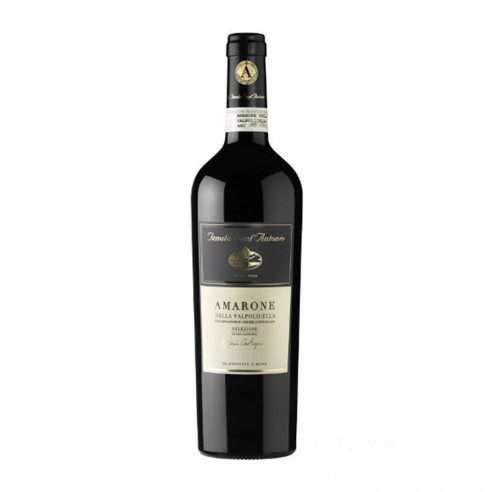 AMARONE CASTAGNEDI 75cl 2019 - TENUTA SANT'ANTONIO