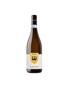 FALANGHINA DEL SANNIO SANT'AGATA DEI GOTI 75cl 2023 -...