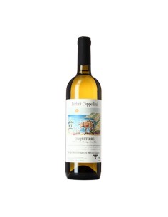 CINQUETERRE 75cl 2023 - FORLINI E CAPPELLINI