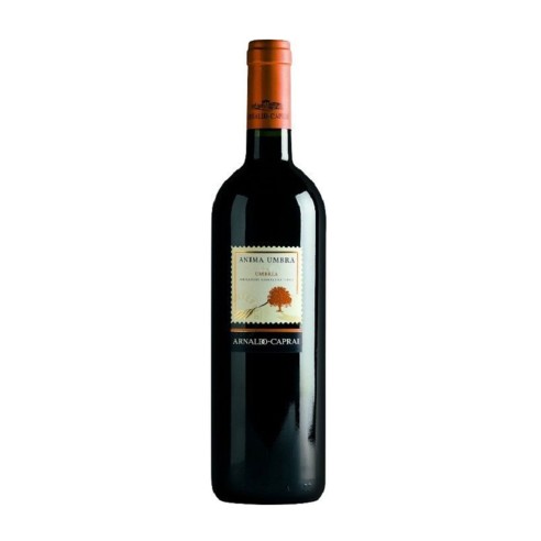 ANIMA UMBRA ROSSO 75cl 2020 - CAPRAI A.