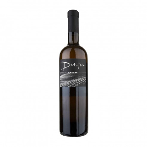 BIANCO KAPLJA 75cl 2021 - PODVERSIC DAMIJAN