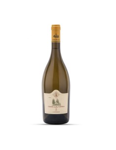 CONTE DELLA VIPERA 1,5lt 2023 - CASTELLO DELLA SALA