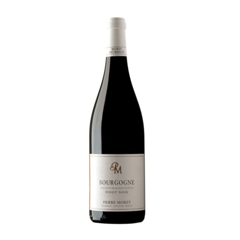 BOURGOGNE PINOT NOIR 75cl 2022 - MOREY PIERRE