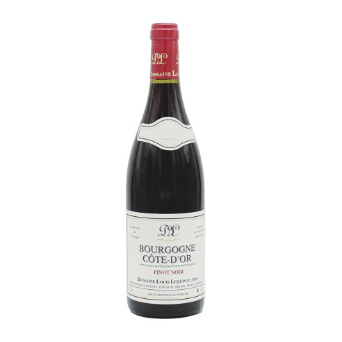 BOURGOGNE ROUGE 75cl 2021 - DOMAINE LEQUIN LOUIS