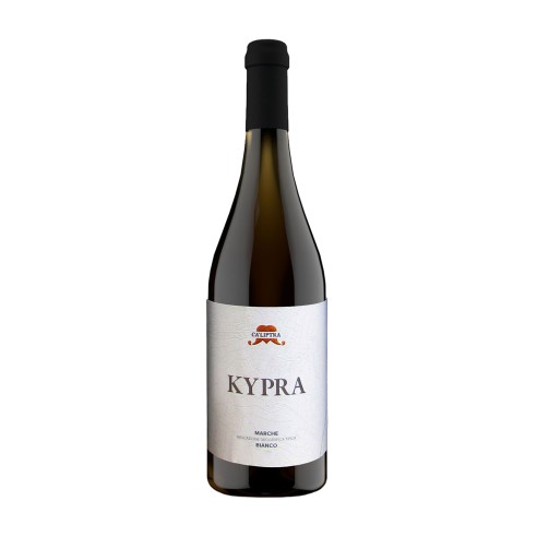 VERDICCHIO KYPRA 75cl 2024 - CA' LIPTRA