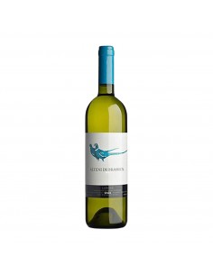 ALTENI DI BRASSICA 75cl 2023 - GAJA