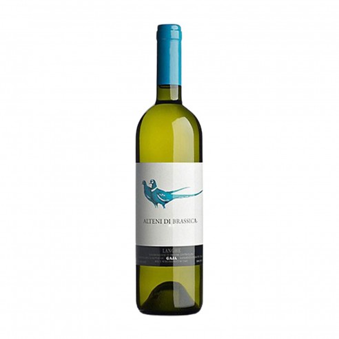 ALTENI DI BRASSICA 75cl 2023 - GAJA
