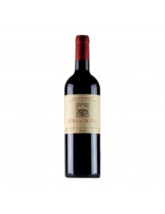 CHIANTI CLASSICO 75cl 2021 - ISOLE E OLENA