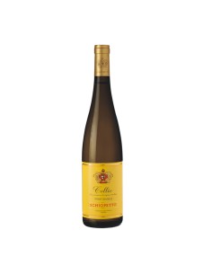 PINOT BIANCO COLLIO 75cl 2022 - SCHIOPETTO