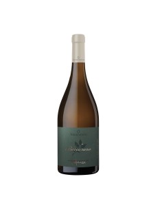 BACCARARA BOMBINO 75cl 2023 - TORREVENTO