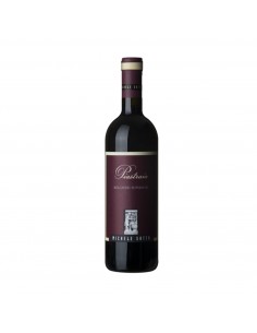 PIASTRAIA BOLGHERI 75cl 2023 - SATTA MICHELE