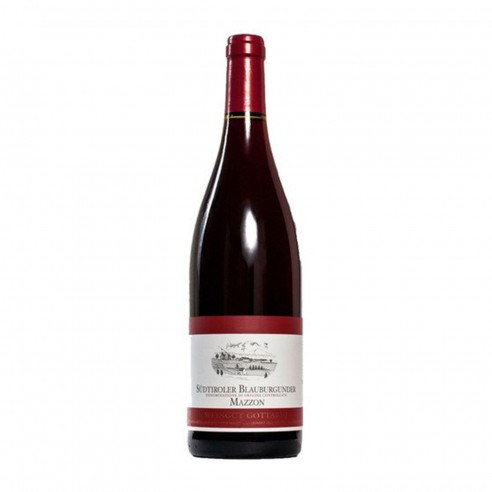 PINOT NERO BLAUBURGUNDER MAZZON 75cl 2019 - GOTTARDI