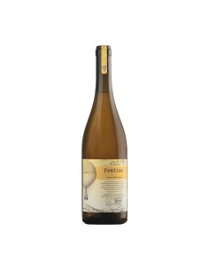 PENTIMA lazio bianco igp bio 75cl 2022 - RIBELA'