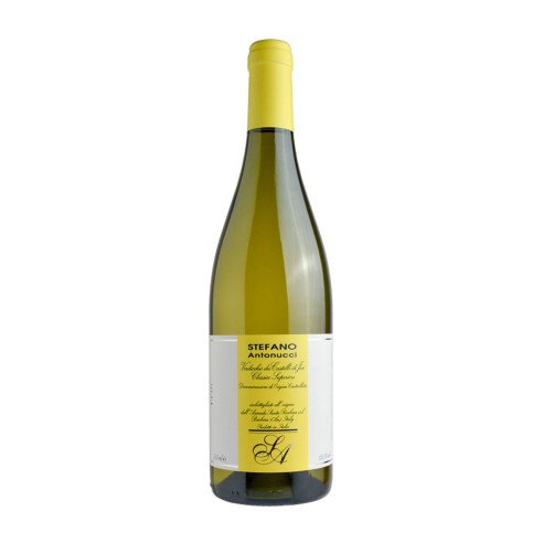 VERDICCHIO RISERVA STEFANO ANTONUCCI 75cl 2022 - SANTA BARBARA