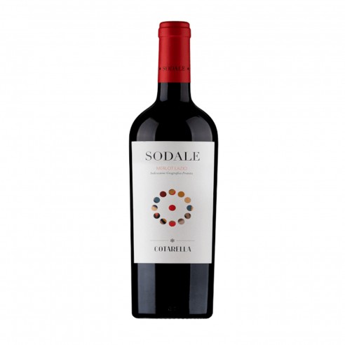 SODALE MERLOT 75cl 2022 - FALESCO