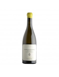 FONTANASANTA NOSIOLA IN ANFORA bd 75cl 2024 - FORADORI