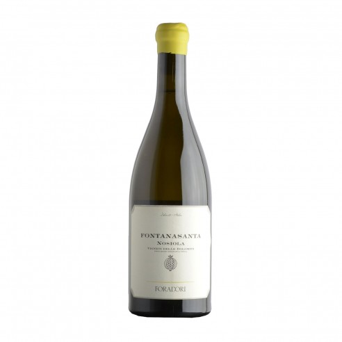 FONTANASANTA NOSIOLA IN ANFORA bd 75cl 2024 -...