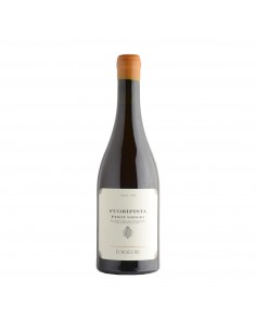 FUORIPISTA PINOT GRIGIO RAMATO bd 75cl 2023 - FORADORI