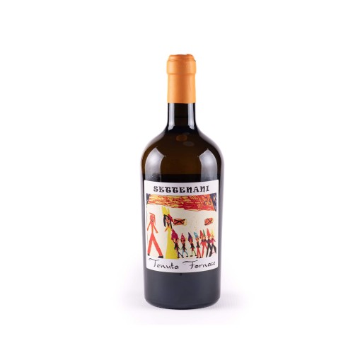 SETTE NANI RIESLING IGP bio 75cl 2023 - TENUTA...