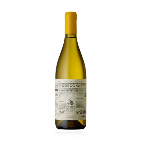 GORGONA 75cl 2025 - FRESCOBALDI