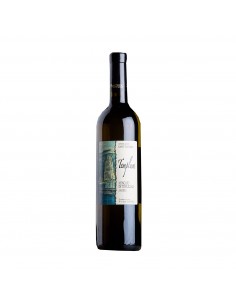 TEMPLUM MOSCATO DI TERRACINA AMABILE 75cl 2024 - SANT'ANDREA