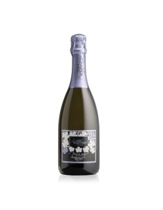 BRUT PROSECCO TREVISO 75cl - TERRE DI SAN VENANZIO