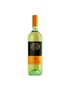 GRILLO 75cl 2024 - COLOSI