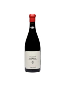 FORADORI SGARZON TEROLDEGO bio bd 75cl 2023 - FORADORI