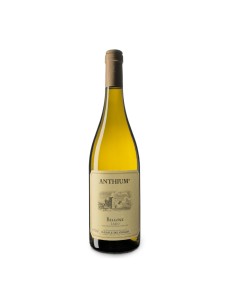 ANTHIUM bellone 1,5lt 2023 AST - CASALE DEL GIGLIO