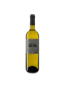 ANTINOO 75cl 2023 - CASALE DEL GIGLIO