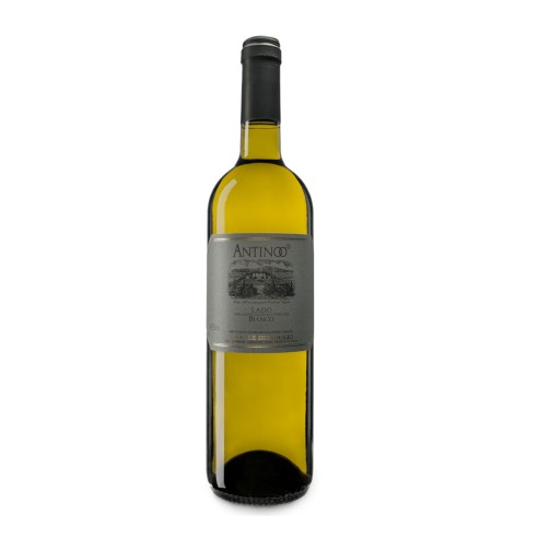 ANTINOO 75cl 2024 - CASALE DEL GIGLIO