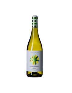 COCOCCIOLA COSTA DEL MULINO 75cl 2024 - CANTINA FRENTANA