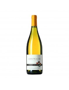 TIMORASSO DERTHONA 75cl 2023 - MASSA VALTER VIGNETI
