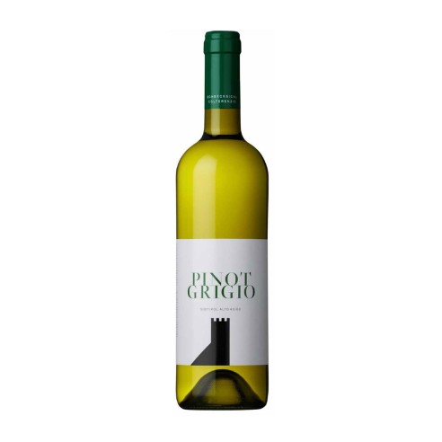PINOT GRIGIO 75cl 2024 - COLTERENZIO SCHRECKBICHL