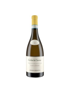 VERDICCHIO CASAL DI SERRA bio 75cl 2025 - UMANI RONCHI
