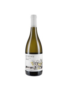PECORINO CENTOVIE 75cl 2023 - UMANI RONCHI
