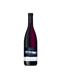 MERLOT 75cl 2022 - LAGEDER