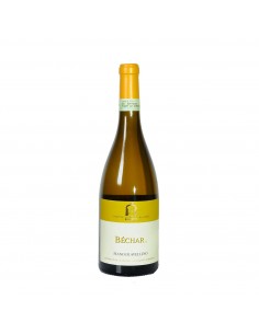 FIANO D'AVELLINO BECHAR 75cl 2024 - CAGGIANO