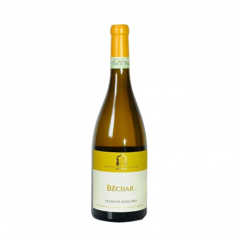 FIANO D'AVELLINO BECHAR 75cl 2024 - CAGGIANO