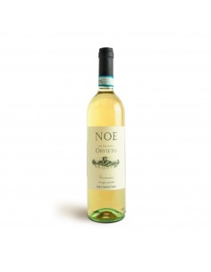 ORVIETO BIANCO NOE 75cl 2025 - D'AMICO NOEMIA E PAOLO