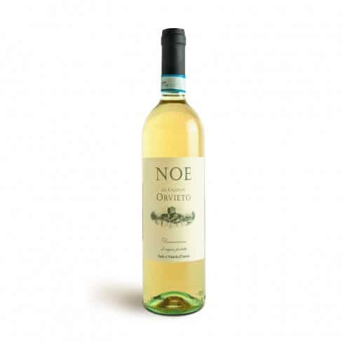 ORVIETO BIANCO NOE 75cl 2025 - D'AMICO NOEMIA E...