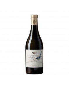POGGIO ALLE GAZZE 75cl 2023 - TENUTA DELL' ORNELLAIA