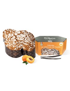 COLOMBA ALLE ALBICOCCHE DEL VESUVIO 1kg - PEPE MASTRO...
