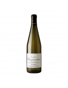 ERUZIONE 1614 CARRICANTE 75cl 2022 - PLANETA