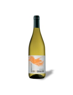 PECORINO COLLE CAVALIERI 75cl 2025 - CANTINE TOLLO