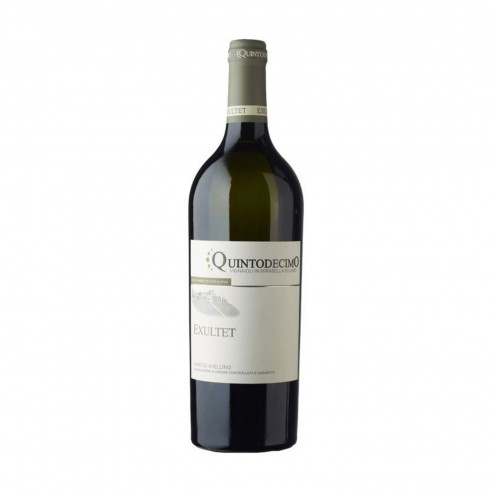 EXULTET FIANO 75cl 2024 - QUINTODECIMO