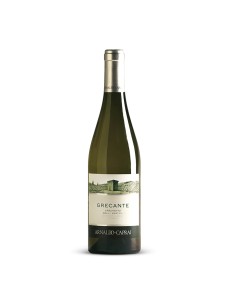 GRECANTE GRECHETTO COLLI MARTANI 75cl 2024 - CAPRAI A.