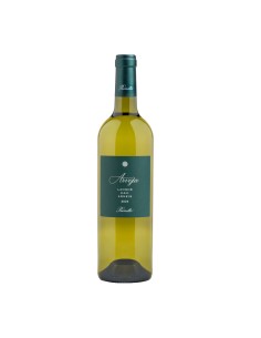 ARVEJA LANGHE ARNEIS 75cl 2024 - PRUNOTTO