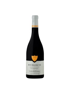 BOURGOGNE ROUGE EN LUTENIERE 75cl 2022 - VERDET AUERELIEN